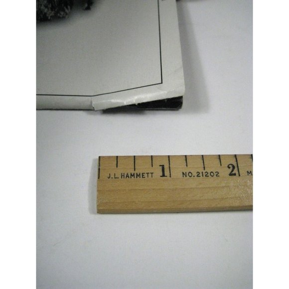 Riverdance Broadway Playbill April 2001 Gershwin Theatre Pat Roddy Eileen Martin - Picture 5 of 6